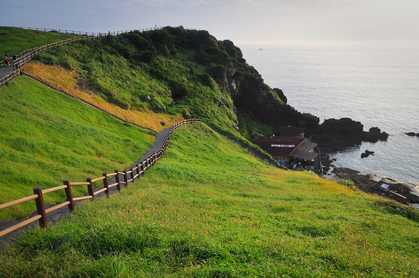 เกาะเชจู