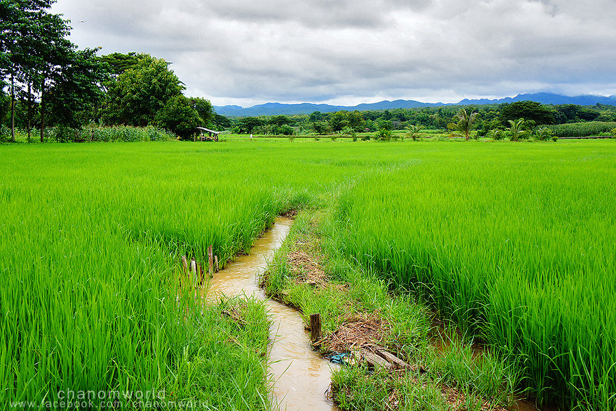 อุทยานแห่งชาติศรีน่าน