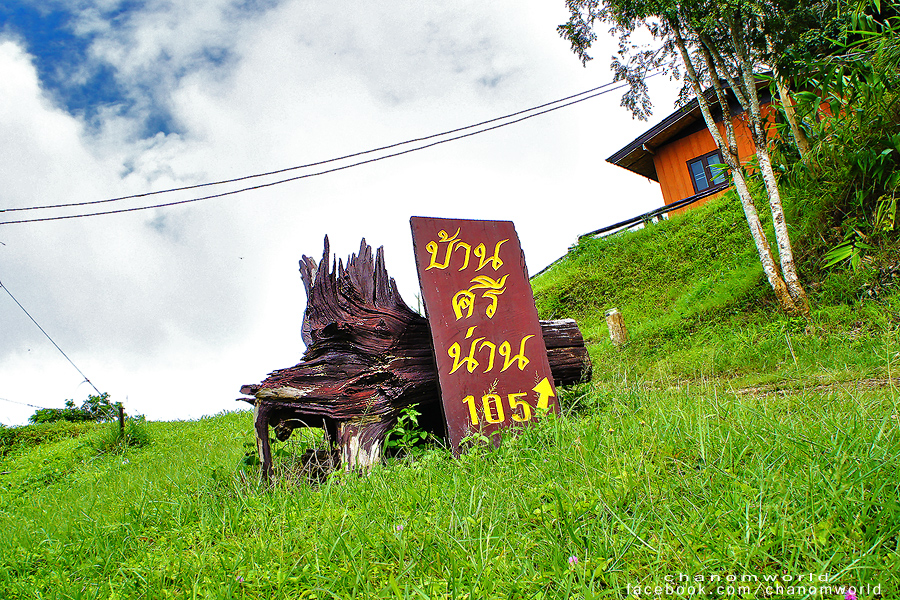 อุทยานแห่งชาติศรีน่าน
