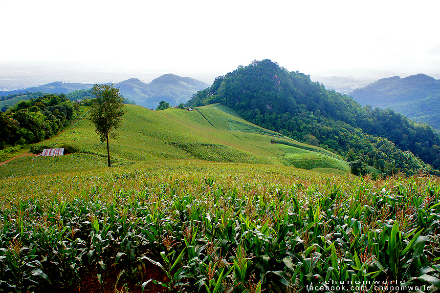 อุทยานแห่งชาติศรีน่าน