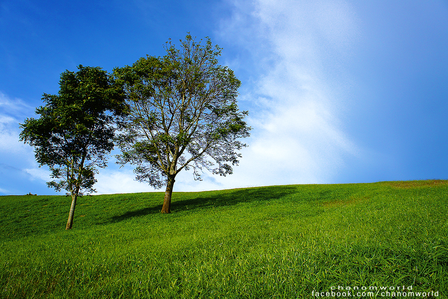 อุทยานแห่งชาติศรีน่าน