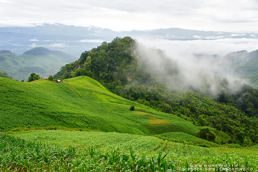 อุทยานแห่งชาติศรีน่าน