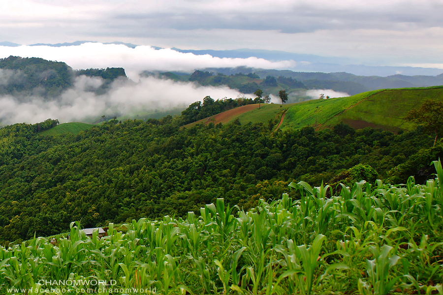 อุทยานแห่งชาติศรีน่าน