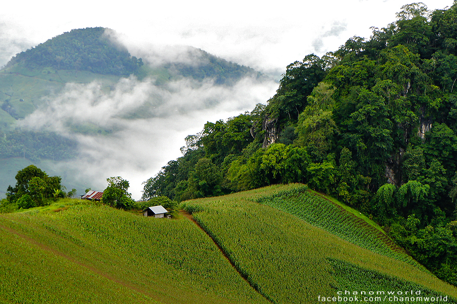 อุทยานแห่งชาติศรีน่าน