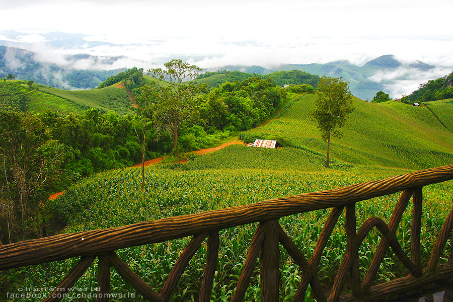 อุทยานแห่งชาติศรีน่าน
