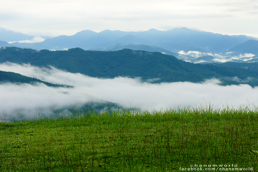 อุทยานแห่งชาติศรีน่าน