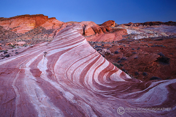 USA Desert 