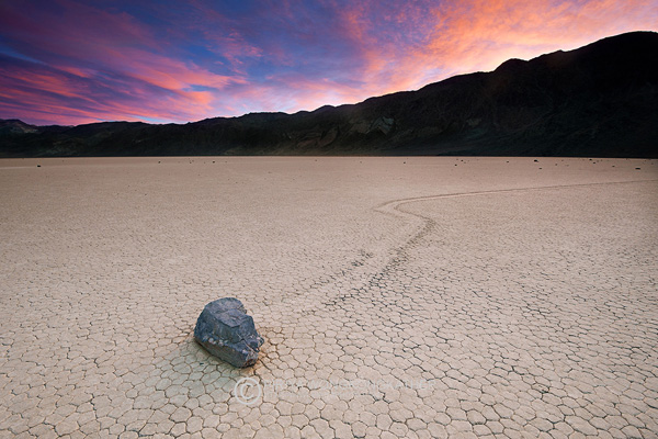 USA Desert 