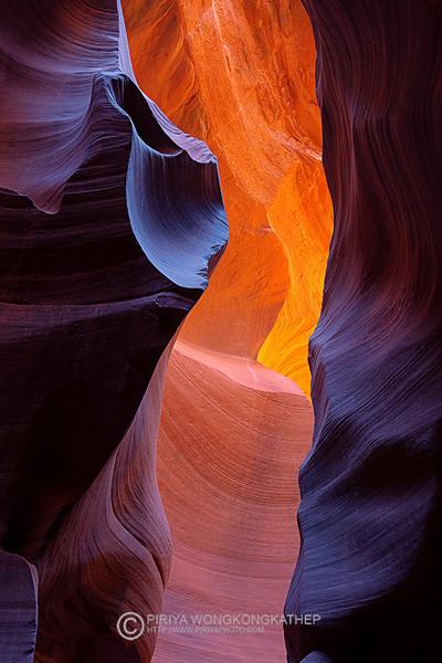 USA Desert 