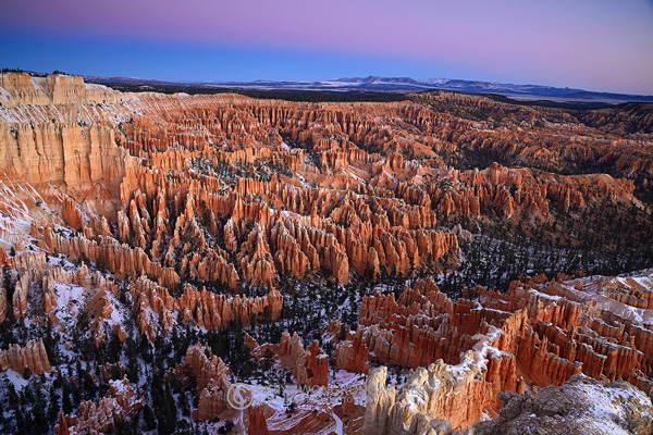 USA Desert 