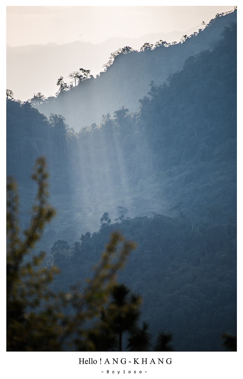 ดอยอ่างขาง