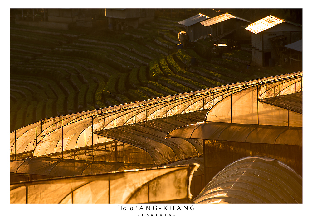 ดอยอ่างขาง