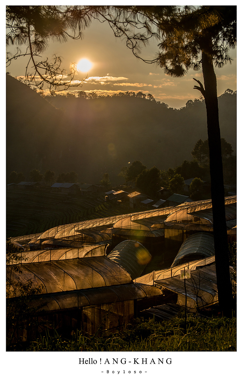 ดอยอ่างขาง