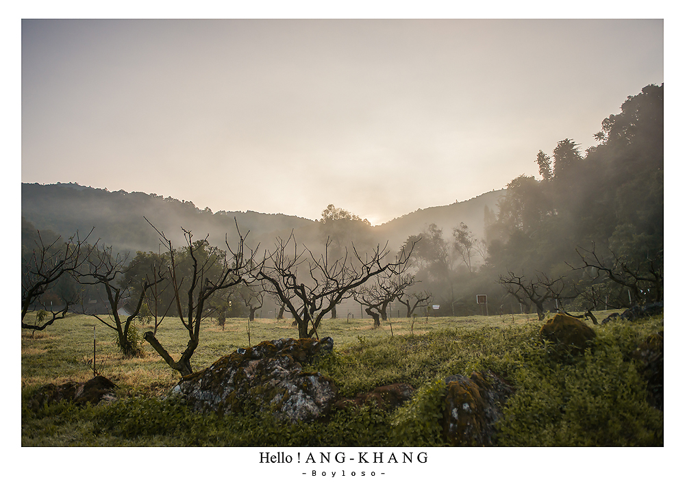 ดอยอ่างขาง