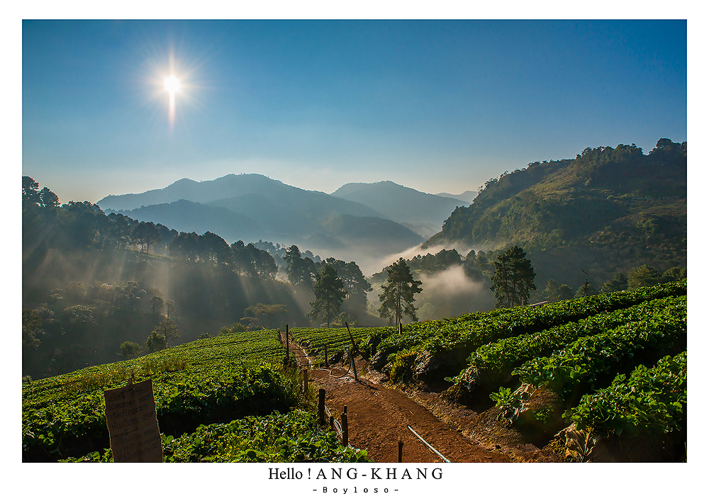 ดอยอ่างขาง