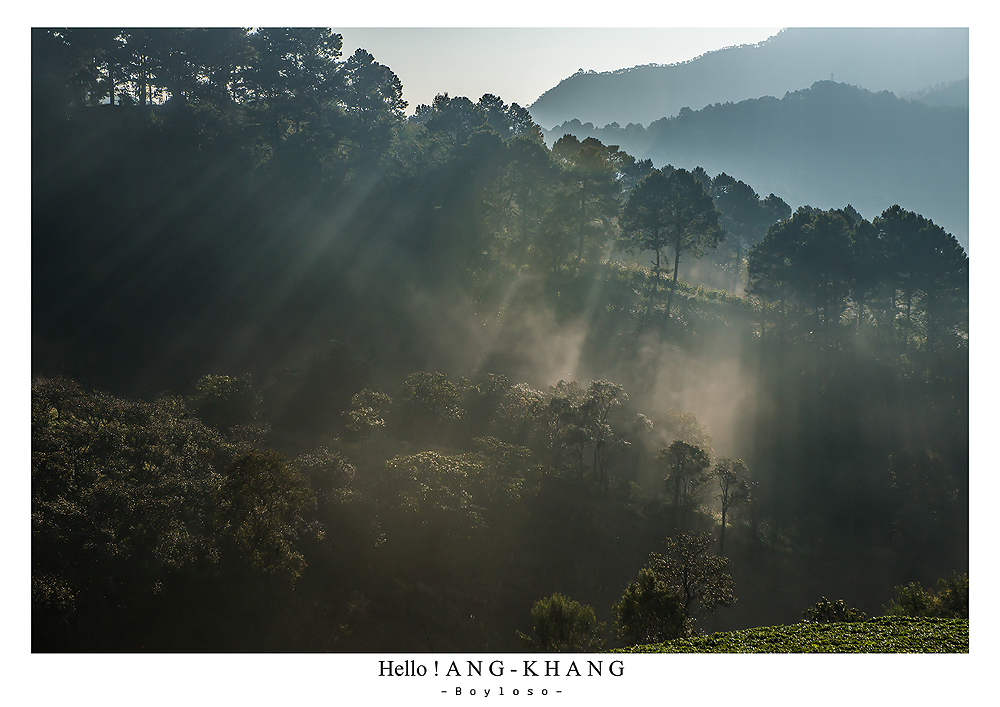 ดอยอ่างขาง