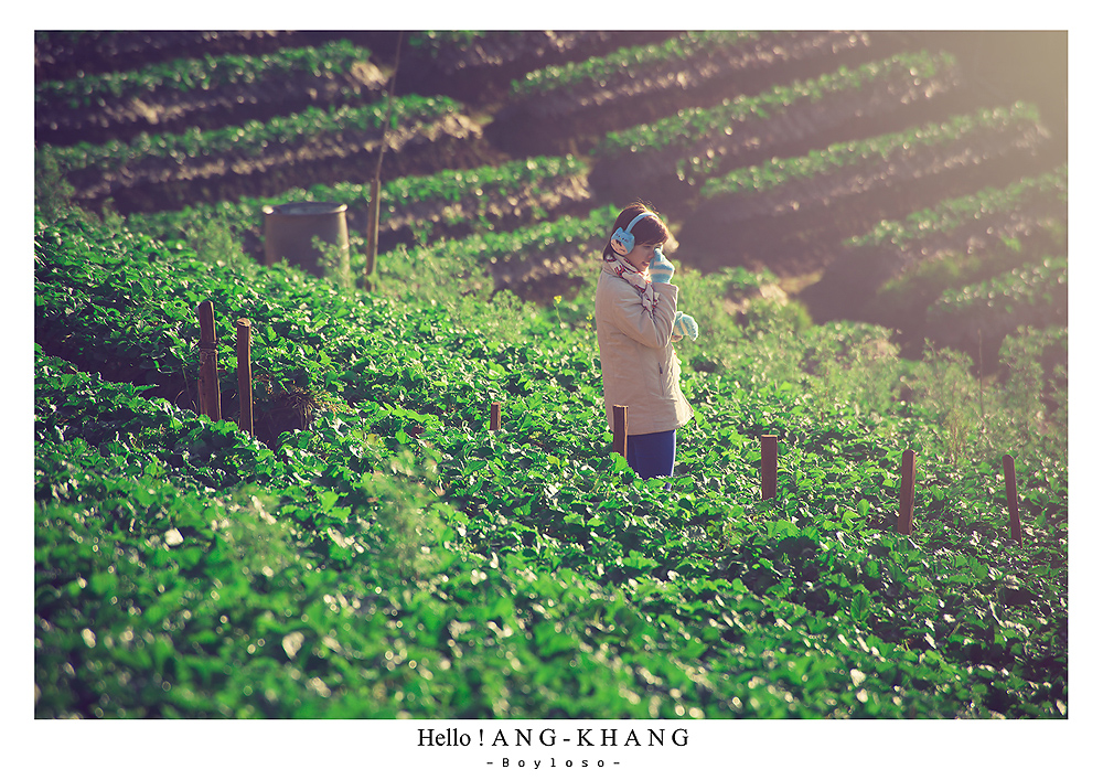 ดอยอ่างขาง