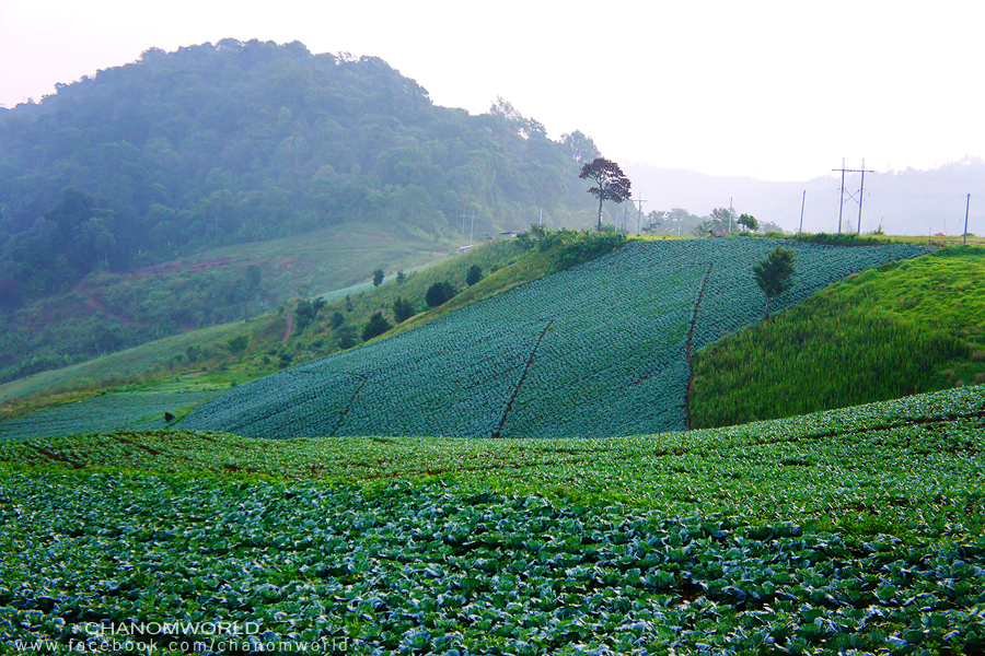 ภูทับเบิก