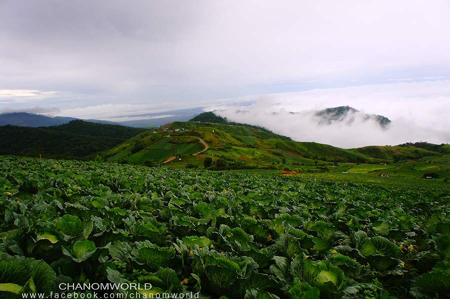 ภูทับเบิก