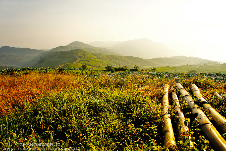 ภูทับเบิก