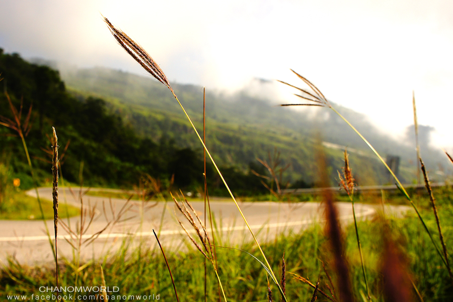 ภูทับเบิก