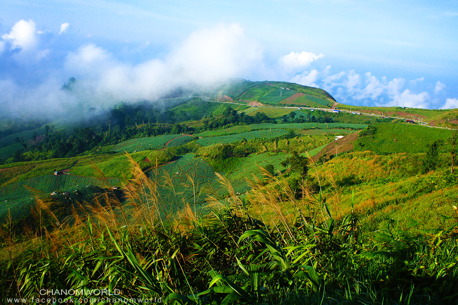 ภูทับเบิก