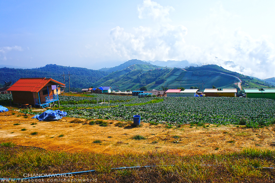 ภูทับเบิก