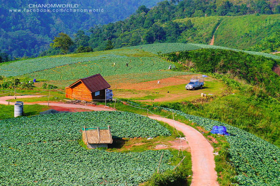 ภูทับเบิก