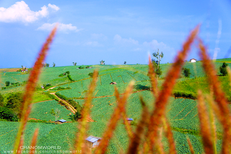 ภูทับเบิก