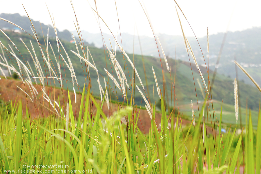 ภูทับเบิก