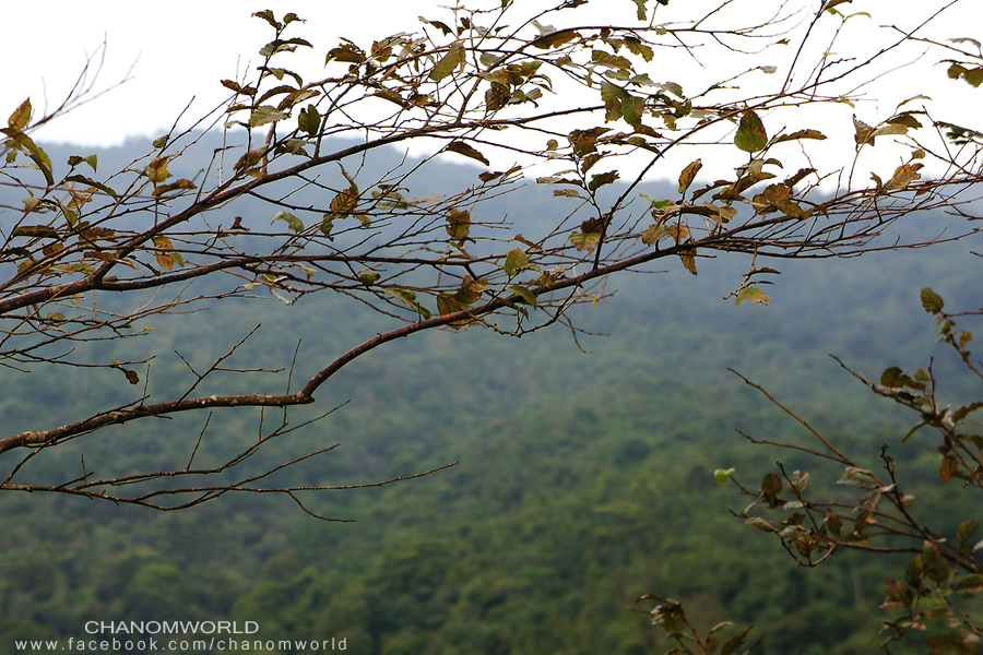 ภูทับเบิก