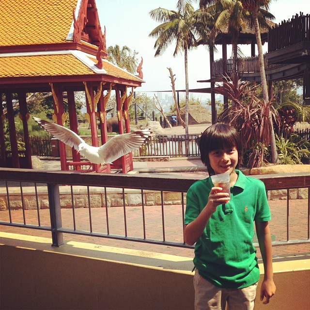 โบ ชญาดา ควง แบงค์ กฤชพล เที่ยวออสเตรเลีย พร้อม น้องอชิ