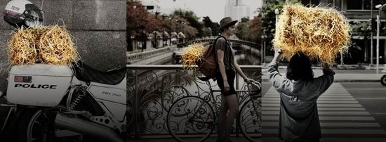 คอนเสิร์ต อัสนี – วสันต์ 26 ปี บ้าหอบฟาง