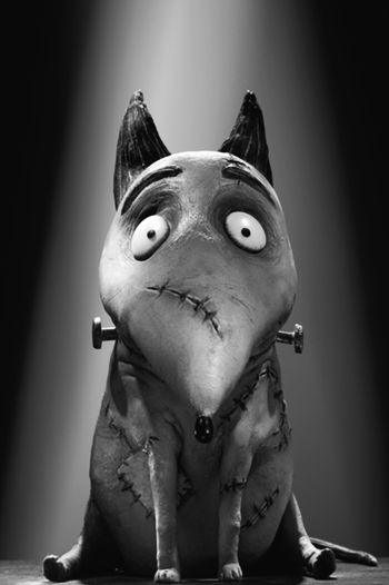 Frankenweenie