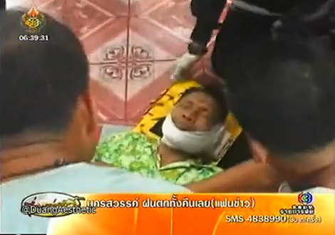 หมาขย้ำ