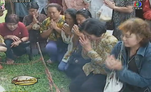 เห็ดประหลาด