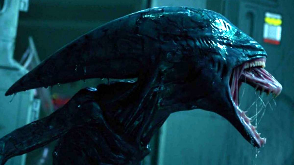 Xenomorphs Xenomorphs