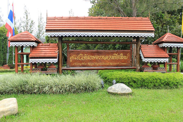 เส้นทางดอกไม้เชียงใหม่