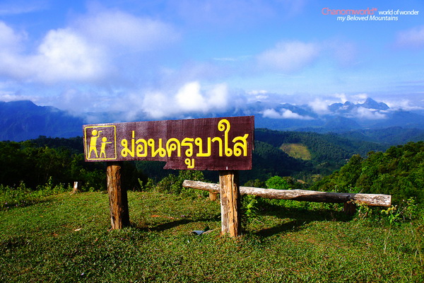 อุทยานแห่งชาติแม่เมย
