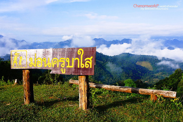 อุทยานแห่งชาติแม่เมย