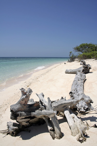 5 สุดยอดเกาะในฟิลิปปินส์