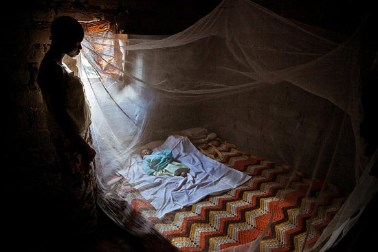 ภาพถ่ายแห่งปี 2012