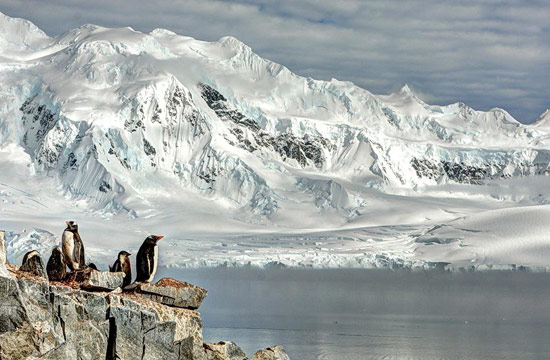 ภาพถ่ายแห่งปี 2012