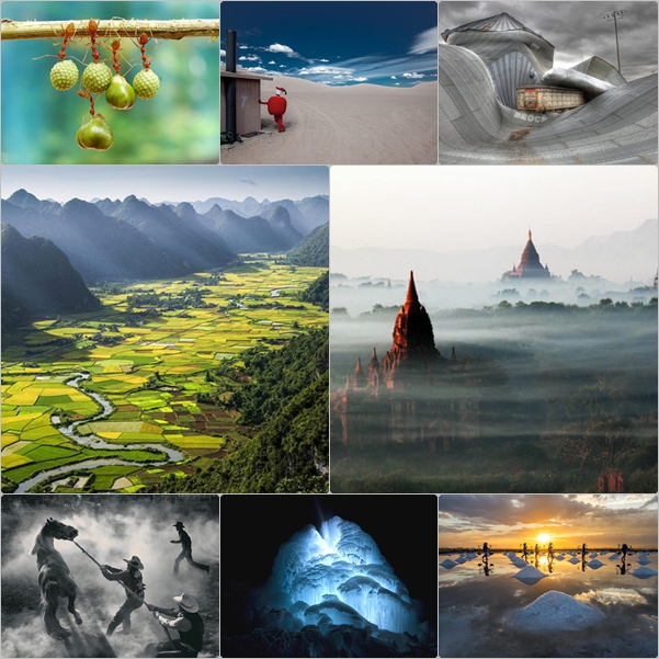 ภาพถ่ายแห่งปี 2012