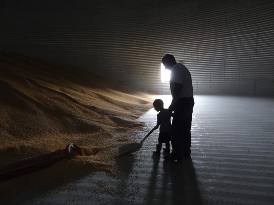 ภาพถ่ายแห่งปี 2012