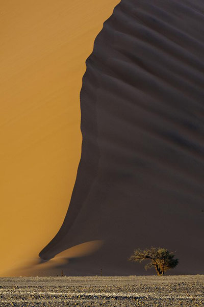 ภาพถ่ายแห่งปี 2012