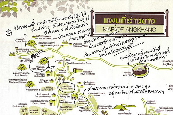 ดอยอ่างขาง