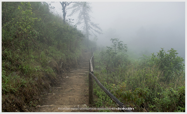 ภูชี้เพ้อ แม่ฮ่องสอน