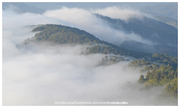 ภูชี้เพ้อ แม่ฮ่องสอน