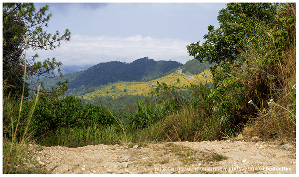 ภูชี้เพ้อ แม่ฮ่องสอน